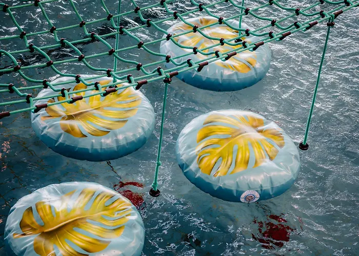 Pensjonat Kompleks Antałówka Termy&med 3*